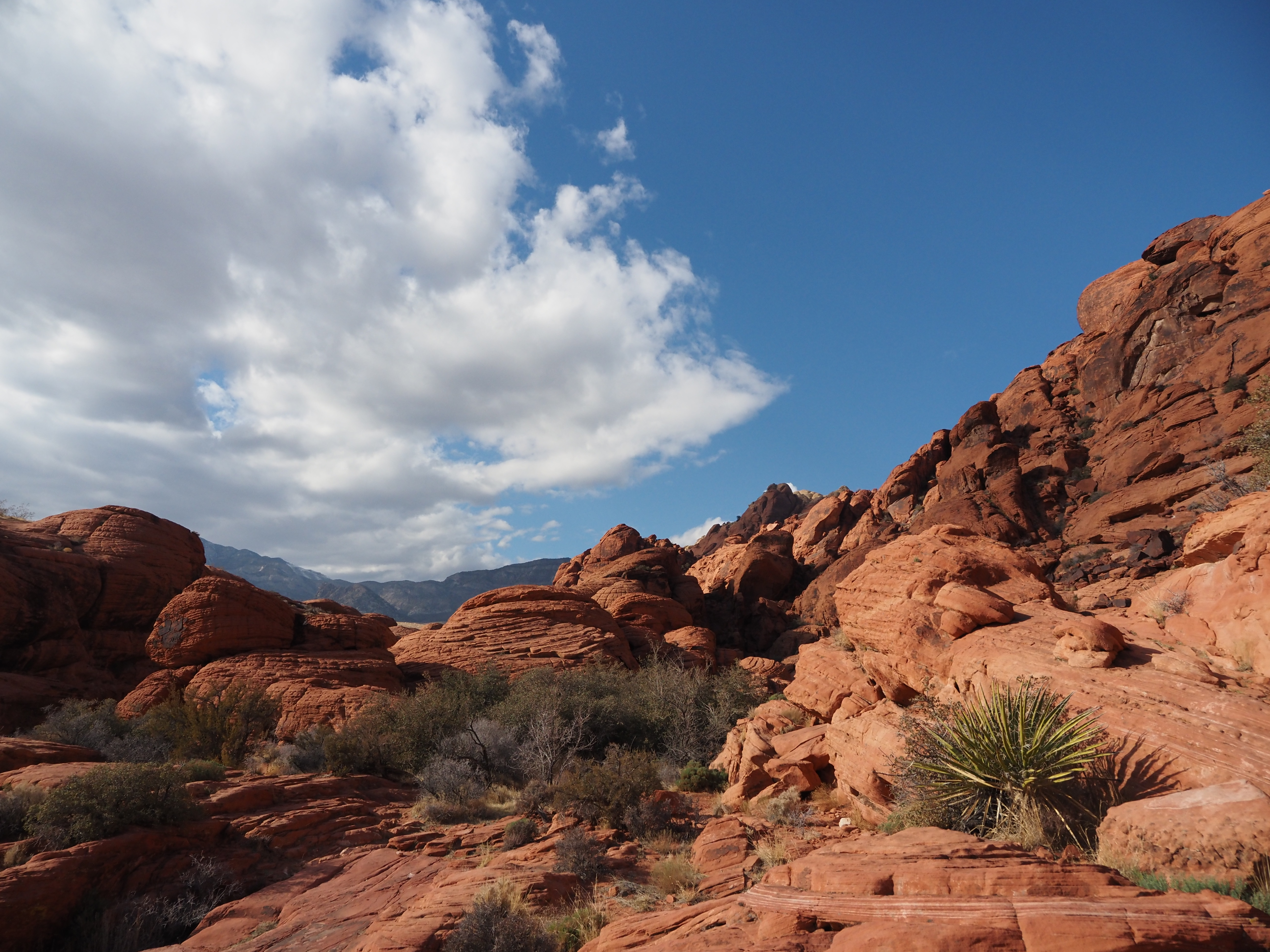 Red Rocks, NV